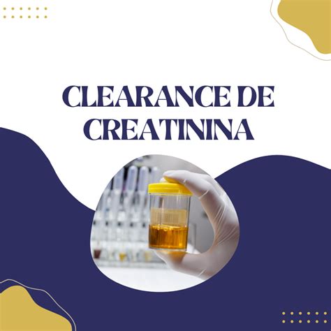 Quais são os marcadores cardíacos? - Cursau Educação - Blog