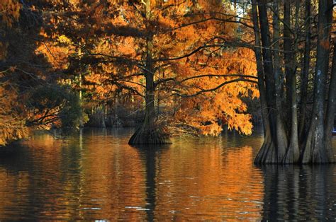 Image result for Stumpy Lake Map