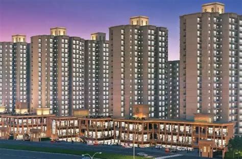 Shyama Realty – Trusted Real Estate Experts in Gurgaon