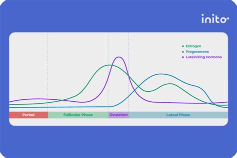 Why Do I Feel Nauseated During Ovulation at Dean Ransford blog