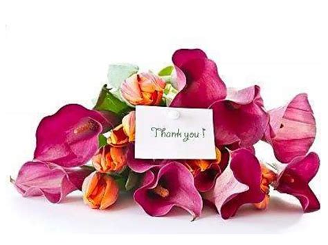 Image result for Classification Body Fluids