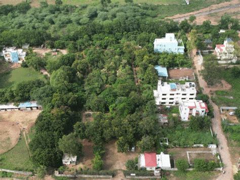 Ahmedabad Friends Group Green Wood Urban Forest Tree Planting VISIT ...