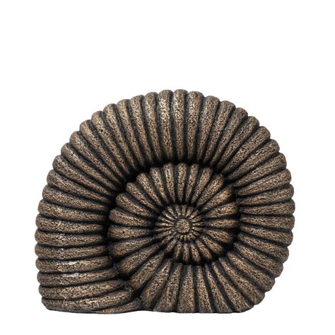 Ashnam Big Sea Shell Sculpture, Antique Gold – Ashnam Home