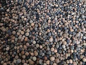 WE Hydroponics Non-Floating Expanded Clayballs Hydrotons (LECA) Organic ...