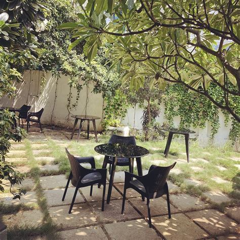 Best Pet-Friendly Cafes In Chennai | LBB, Chennai