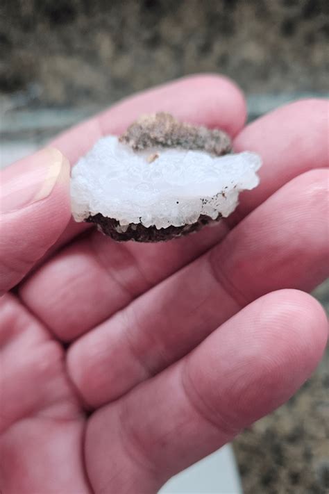 Any id on these? Found in CO : r/whatsthisrock