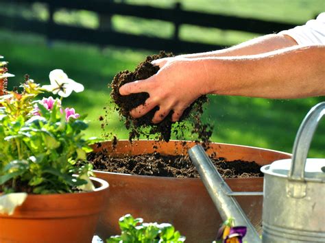 Peat-free potting soils | GGS