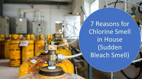 Why Does My Body Smell Like Chlorine at Douglas Wilder blog