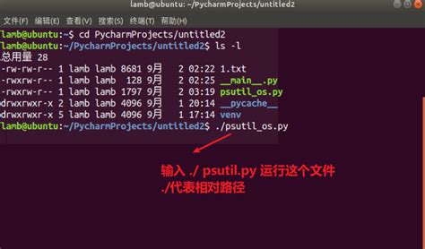 Correr Codigo Python Linux 的图像结果