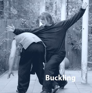 Legwork Challenge 的图像结果