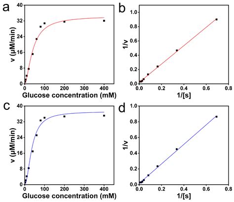 Enhanced High-Fructose Corn Syrup Production: Immobilizing Serratia ...