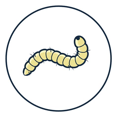 Flea Larvae In Carpet