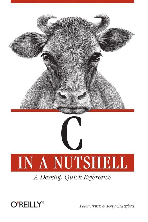 My First C Program 的图像结果