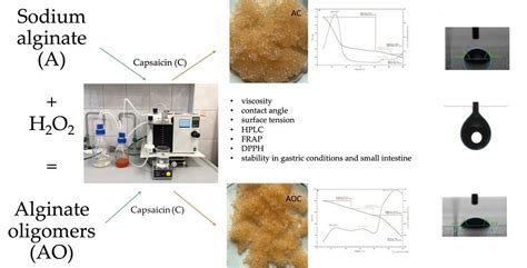 Effect of Chemical Degradation of Sodium Alginate on Capsaicin ...
