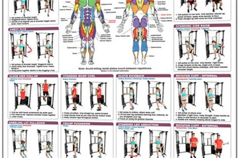 Image result for Functional Exercises Print Out
