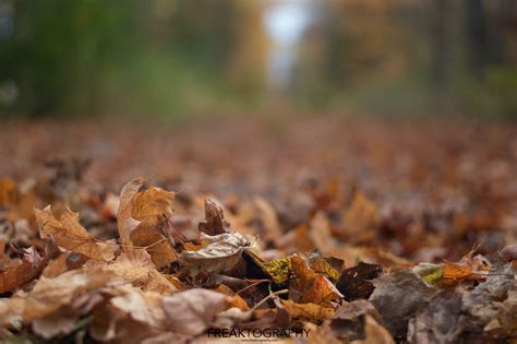 Fall Nature Landscape Photography | FREAKTOGRAPHY