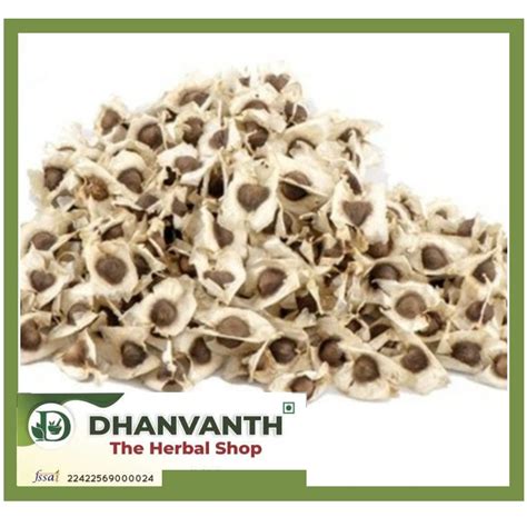 Dried Moringa Seeds/Drumstick Seeds/Moringa Oleifera Seeds/Murungai ...