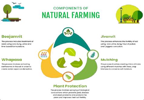 Natural Farming Methods 的图像结果