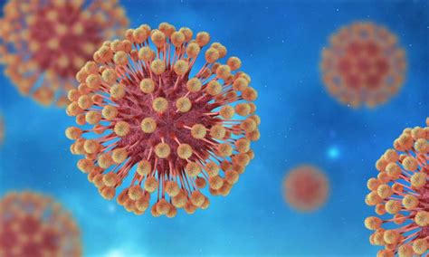 Intranasal herpes infection may produce neurobehavioral symptoms, UIC ...