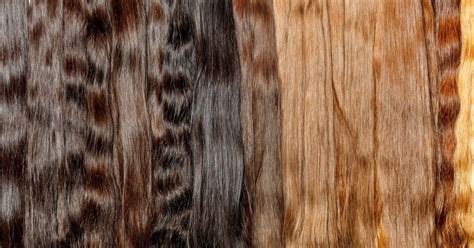 Ultimate Guide to Brown Hair Color Shades - Shades That Suit You Best