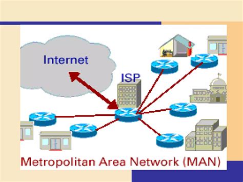 Network Types 的图像结果