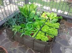 fare l orto in giardino 5 facili mosse per il tuo orto domestico raffaele s p a fare l orto in giardino 5 facili mosse per il tuo orto domestico raffaele s p a