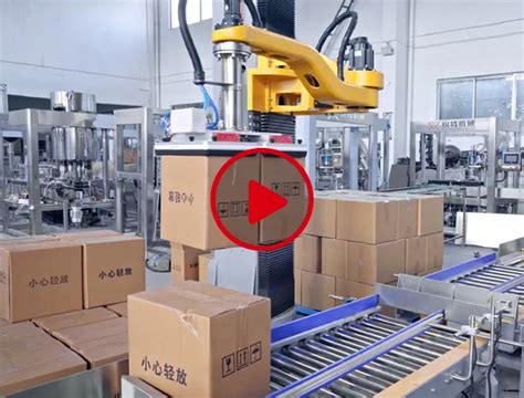 Image result for Palletizer Machine Types