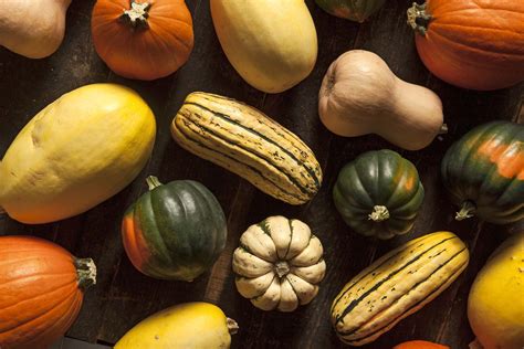 Squash | Definition, Summer Squash, Winter Squash, Examples, & Facts ...