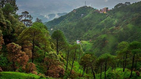 Places To Visit In Solan: Nature, Culture, Adventure In Himachal Pradesh