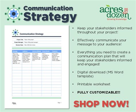 Project Communication Strategy Template 的图像结果