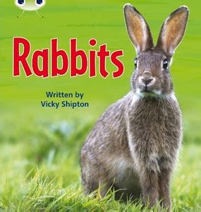 Bug Club Phonics - Phase 5 Unit 27: Rabbits: Buy Bug Club Phonics ...