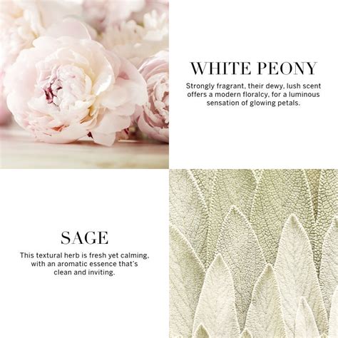 Buy Victoria's Secret Bombshell Seduction Edp For Her Online