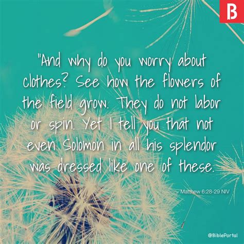 Matthew 6:28-29 NIV - Bible Study, Meaning, Images, Commentaries ...