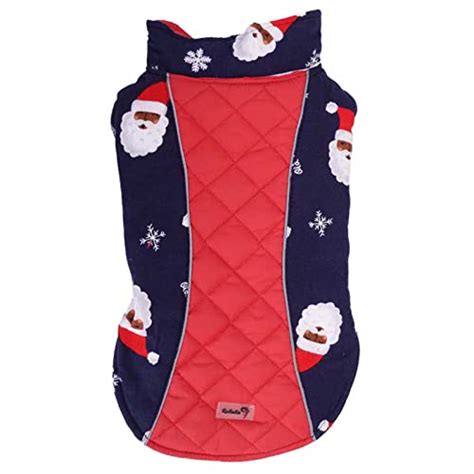 Amazon.in Bestsellers: The most popular items in Dogs