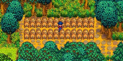 Stardew Valley: How To Get & Use Pale Ale