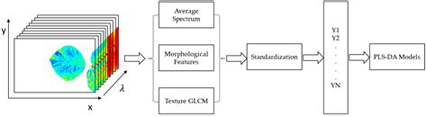 Early Detection of Dicamba and 2,4-D Herbicide Drifting Injuries on ...