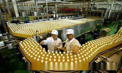果蔬饮料生产线工艺流程及发酵的三个阶段 - 温州市尚运轻工机械有限公司