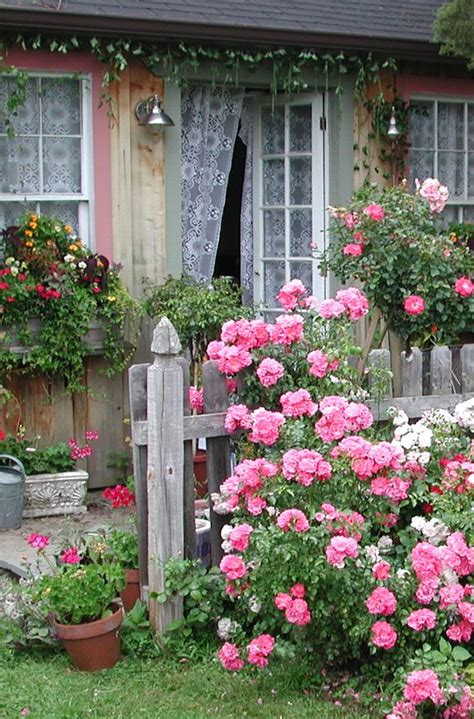 Small Cottage Gardens 的图像结果