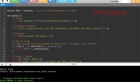 How to Output Variables in C Code 的图像结果