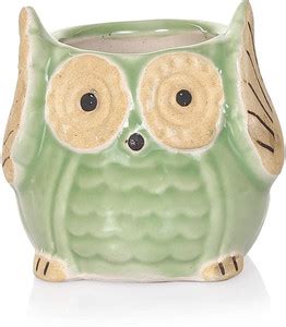 SOLIDA Ceramic Flower Pot/Planter/ Money Plant Owl Shape Big Eyes Plant ...