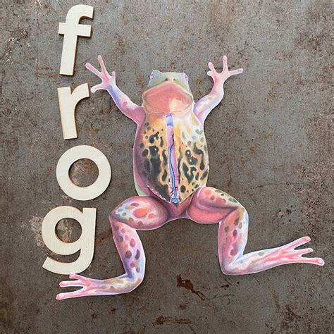 Image result for Paper Snapper of Frog