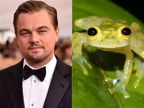 Lifestyle & Fashion Trends to Follow – The Economic Times