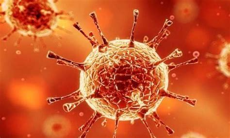 Orbital Compartment Syndrome in COVID-19 after Prolonged Prone Position ...