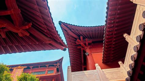 郑州最"大"的免费寺院！斥资3亿打造，香火很旺，上香也免费|观音寺|寺庙|免费_新浪新闻
