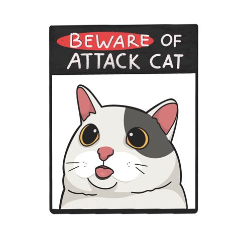 Image result for Python Attack Cat