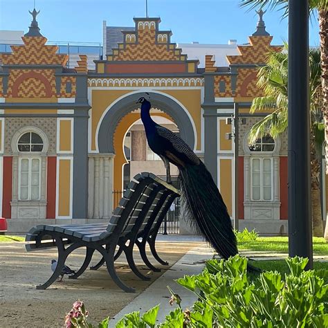 JARDIM DR. AMADEU FERREIRA DE ALMEIDA (2026) All You Need to Know ...