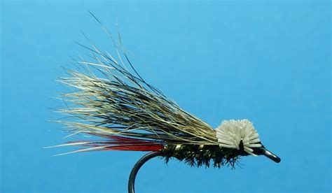 Image result for Doodlebug Insect