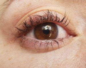 Image result for Troubleshooting Lash Lift Tutorial