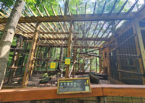 Yellow River Wildlife Sanctuary - Spider monkey exhibit - ZooChat