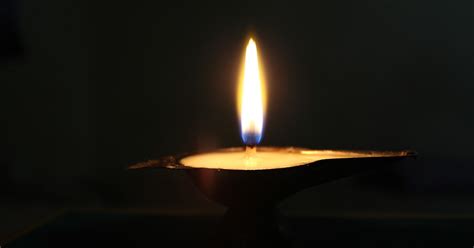 AYVM - Articles: One Devoid of Vidyaa is Animal-like